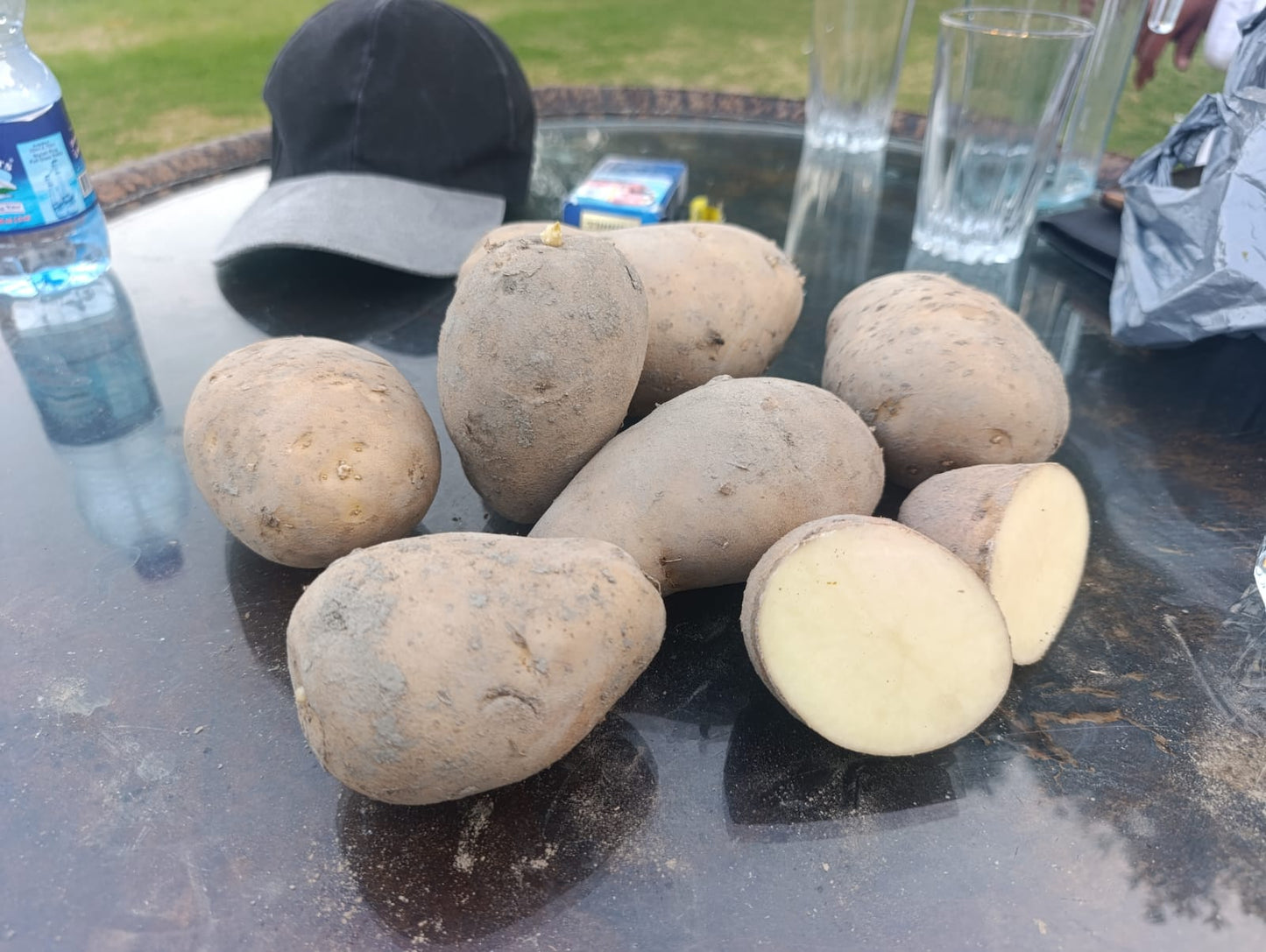 Premium Processing Potatoes ✅ Alva Stone Variety ✅ 70mm+ Size