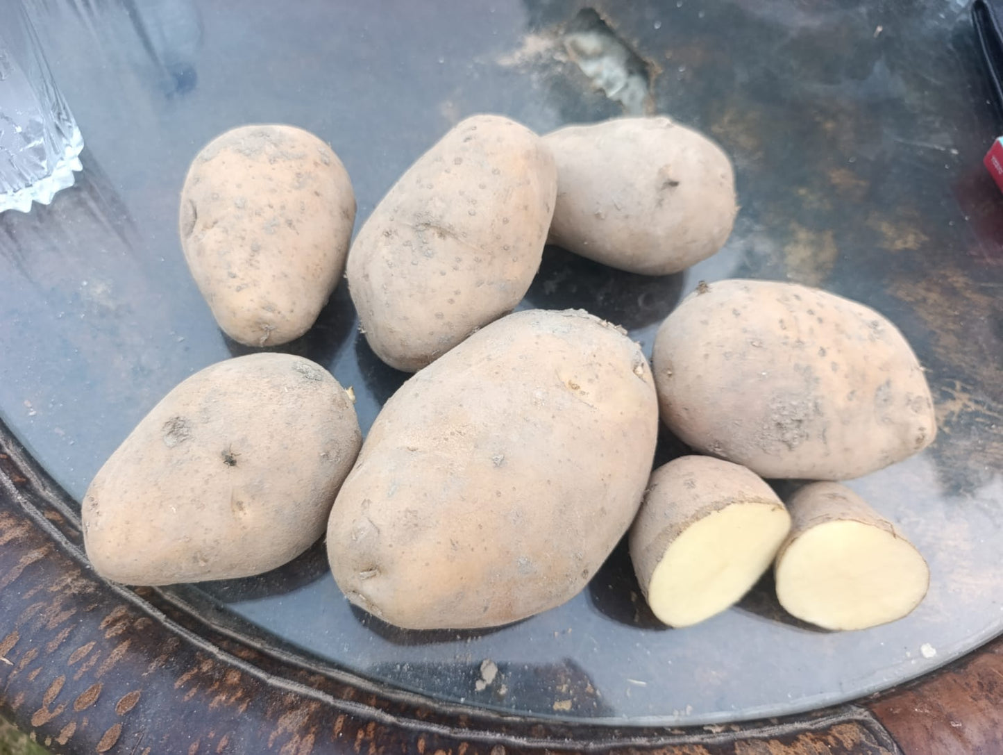 Premium Processing Potatoes ✅ Alva Stone Variety ✅ 70mm+ Size